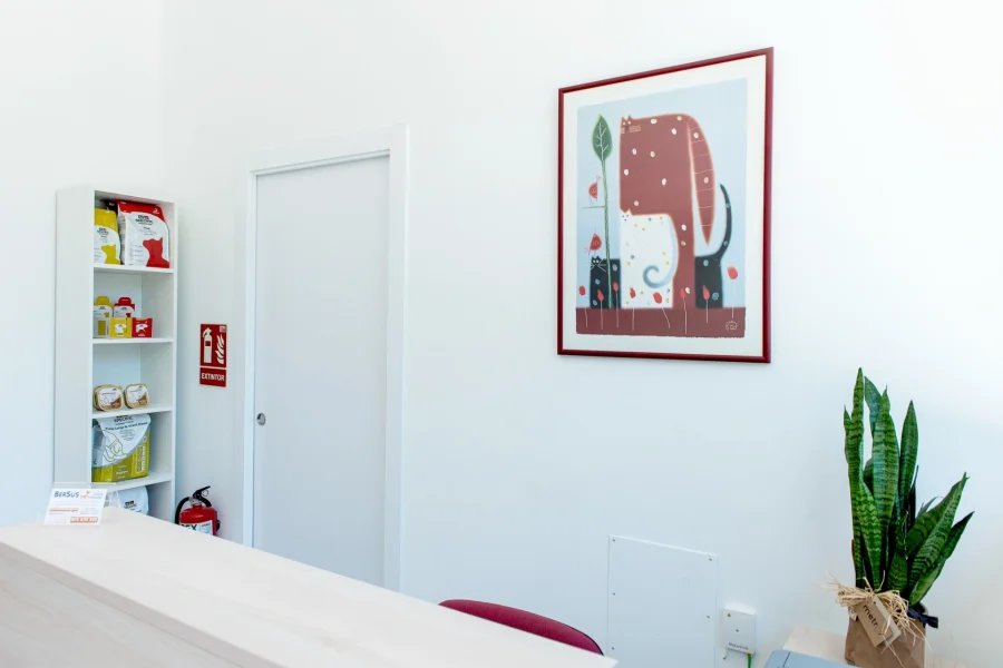 Instalaciones Bersus Veterinarios